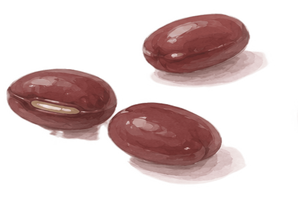 Red Beans (Azuki)